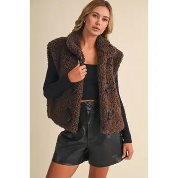 Brown Oversized Fleece Vest